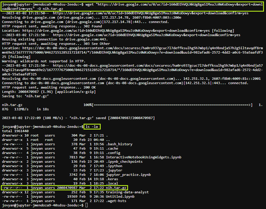 Download in Terminal